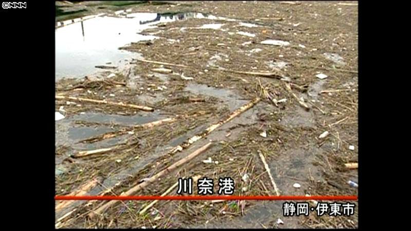 台風の影響で流木が漁港を埋め尽くす　静岡