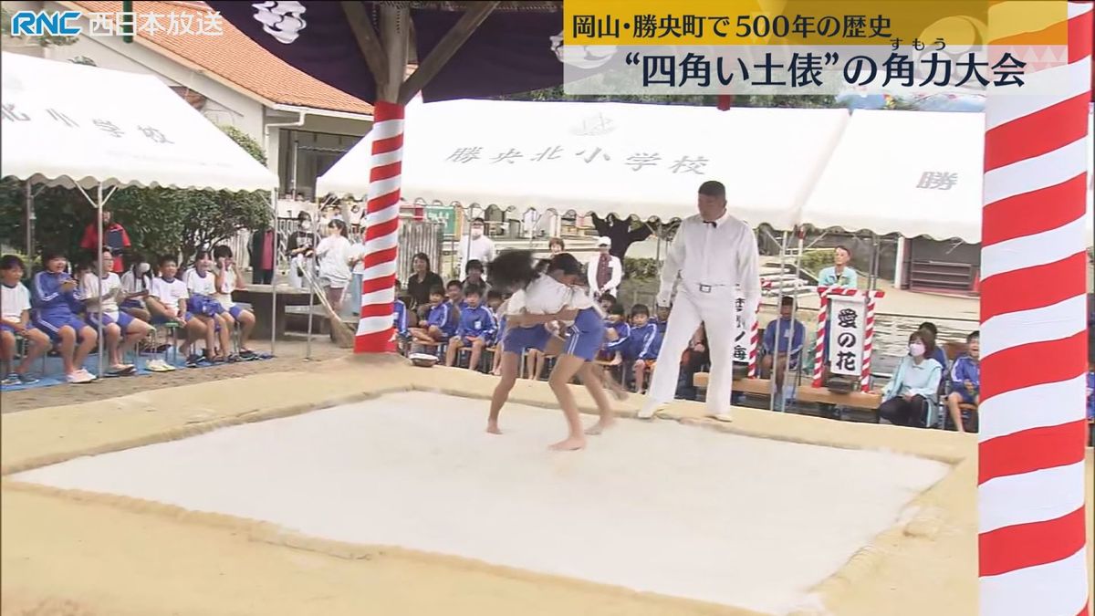 伝統の四角い土俵で「角力大会」　勝央北小学校（勝央町）