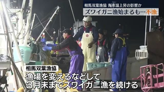 海水温の上昇が影響か…相馬双葉漁協のズワイガニ漁が不漁に・福島県