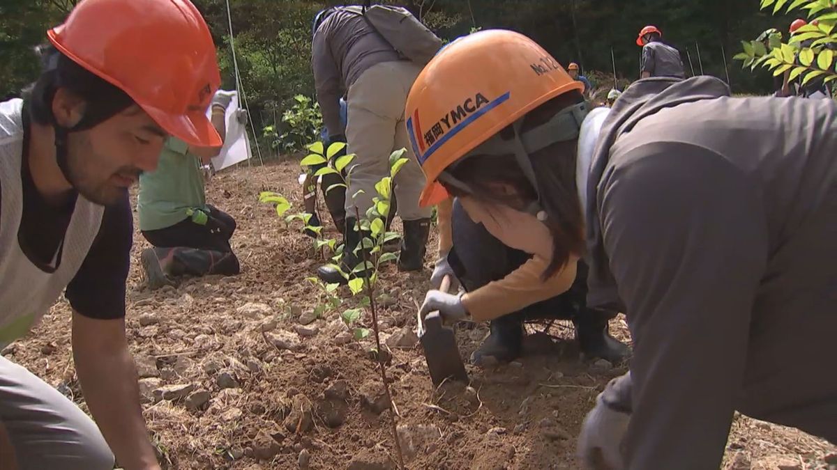 LINEヤフーと日田市の林業会社が植樹活動　森林のCO2吸収量を売買する契約　大分