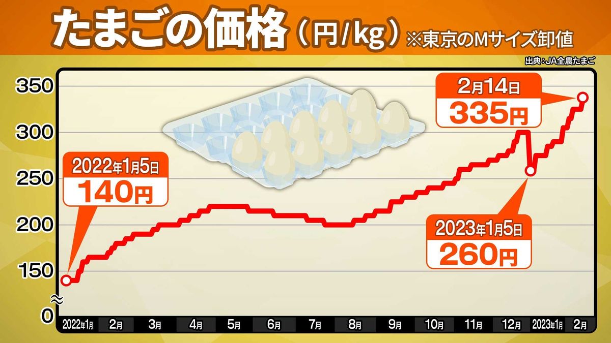 【たまご高騰】半年間は高値続く可能性も…「神頼み」のワケ