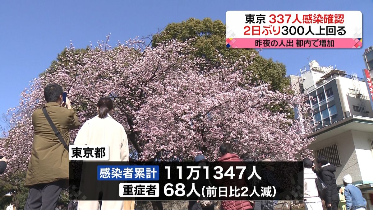 早咲きの桜が見頃　上野公園には多くの人が