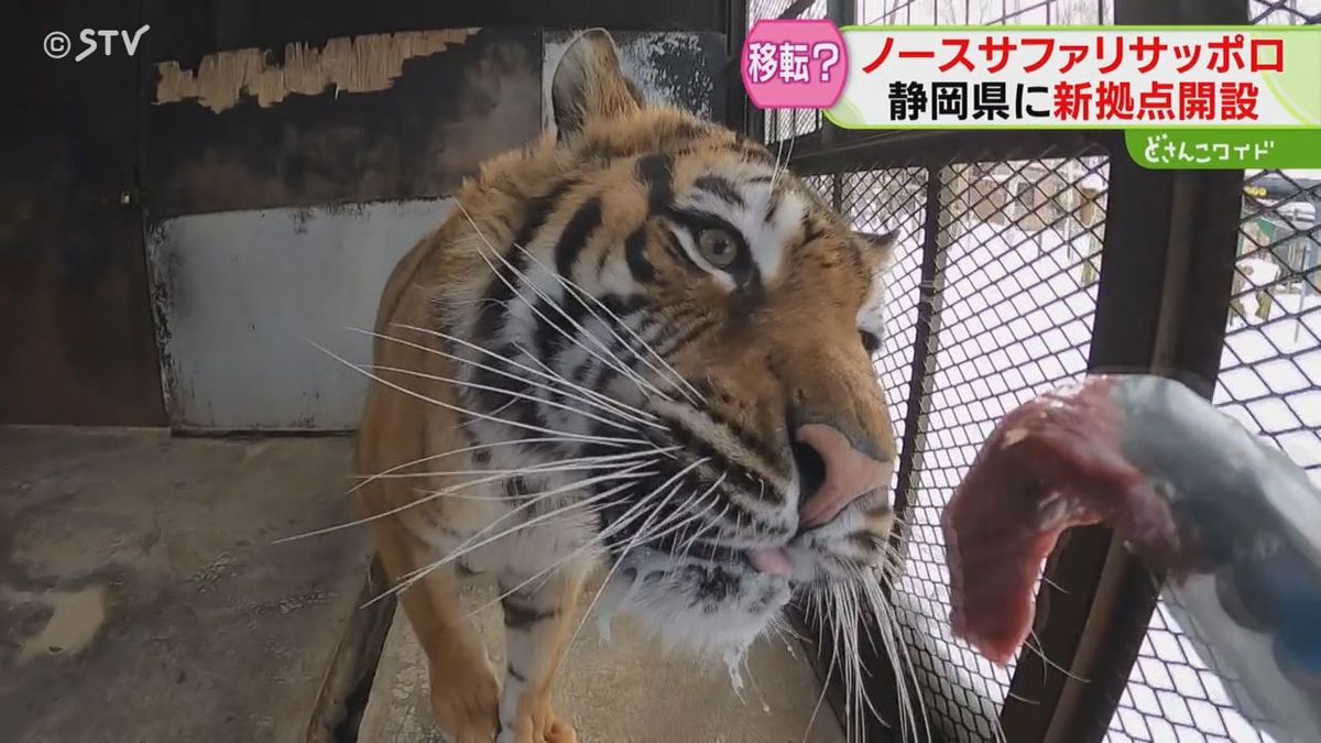 静岡のテーマパーク住所に新たな支店を設置　閉園発表のノースサファリサッポロ　動物の行先は？