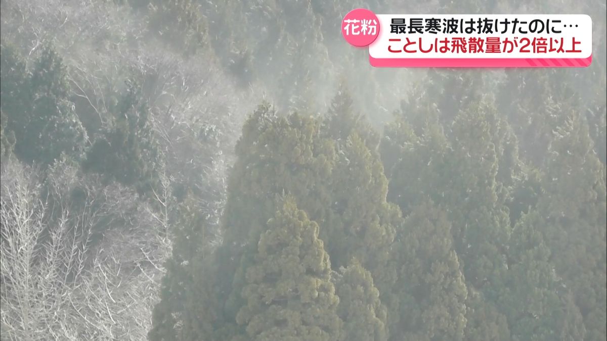 3月一気に“花粉飛ぶ”石川県内　大量飛散で重症化のおそれ 「大切なのは初期療法」