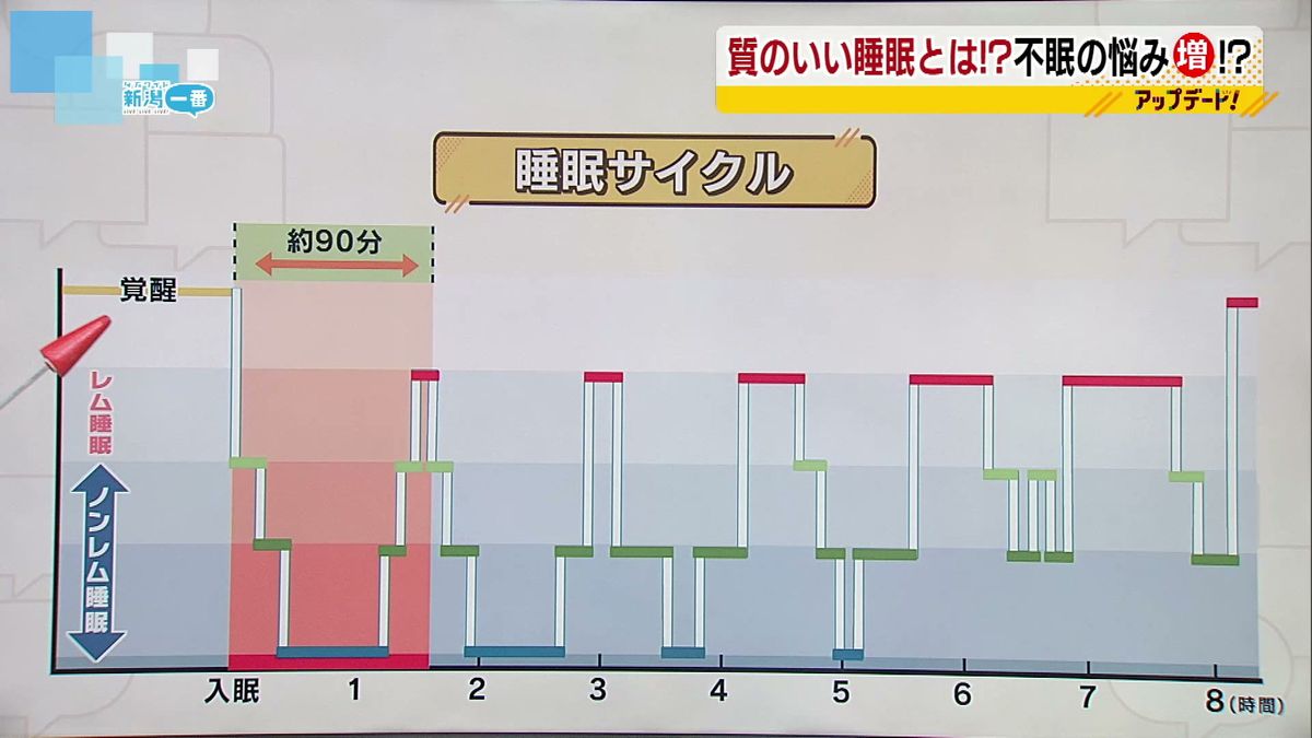 睡眠サイクル