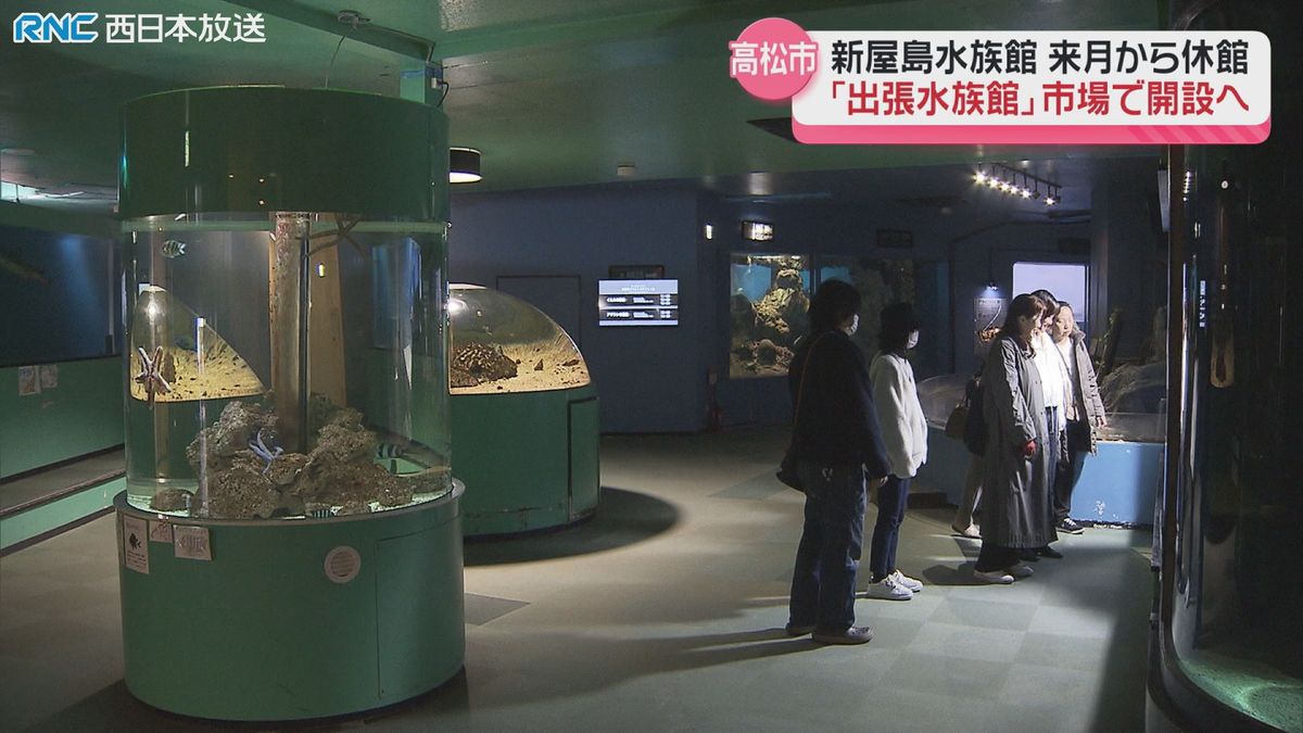 リニューアルで休館する新屋島水族館　市中央卸売市場に「出張水族館」開設へ