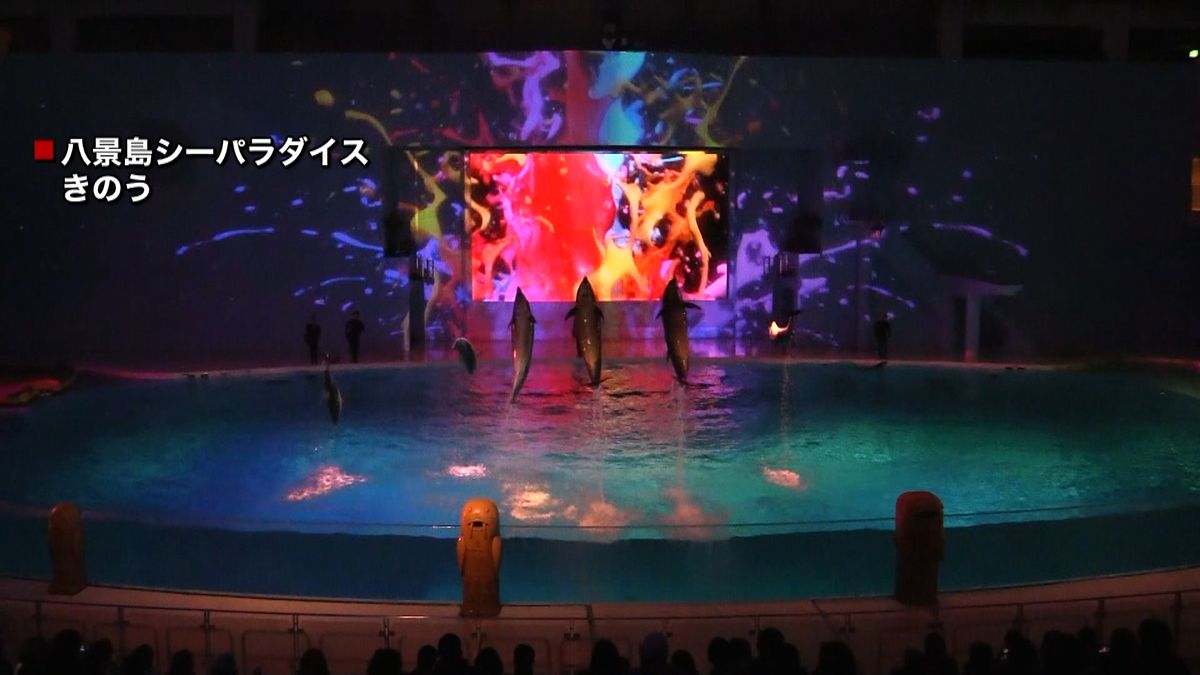 イルカ舞う幻想的なナイトショー　横浜市