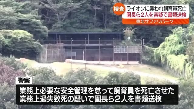 飼育員がライオンに襲われ死亡した事故で東北サファリパークの園長ら2人を書類送検