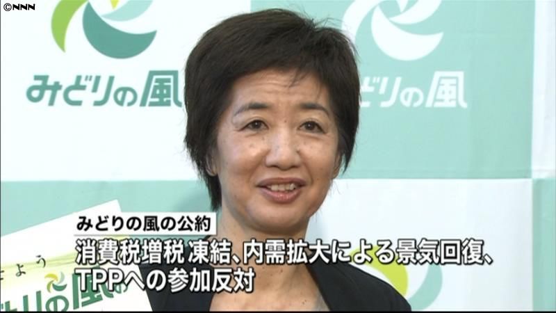 みどりの風が公約発表、消費増税凍結など柱