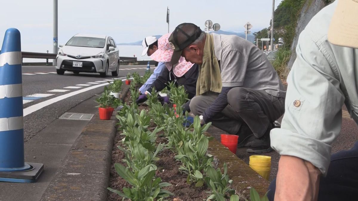 海岸沿線の約6800本の花植え替え　観光客増える夏休みを前に　三重・熊野市