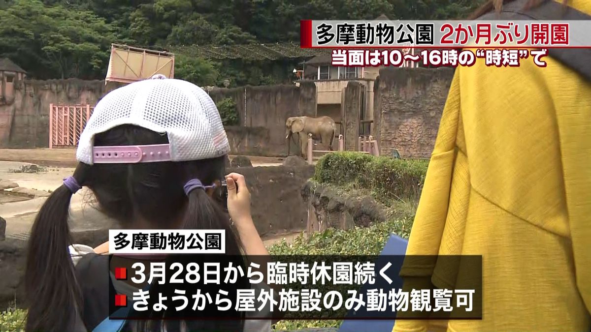 多摩動物公園２か月ぶり開園　当面“時短”