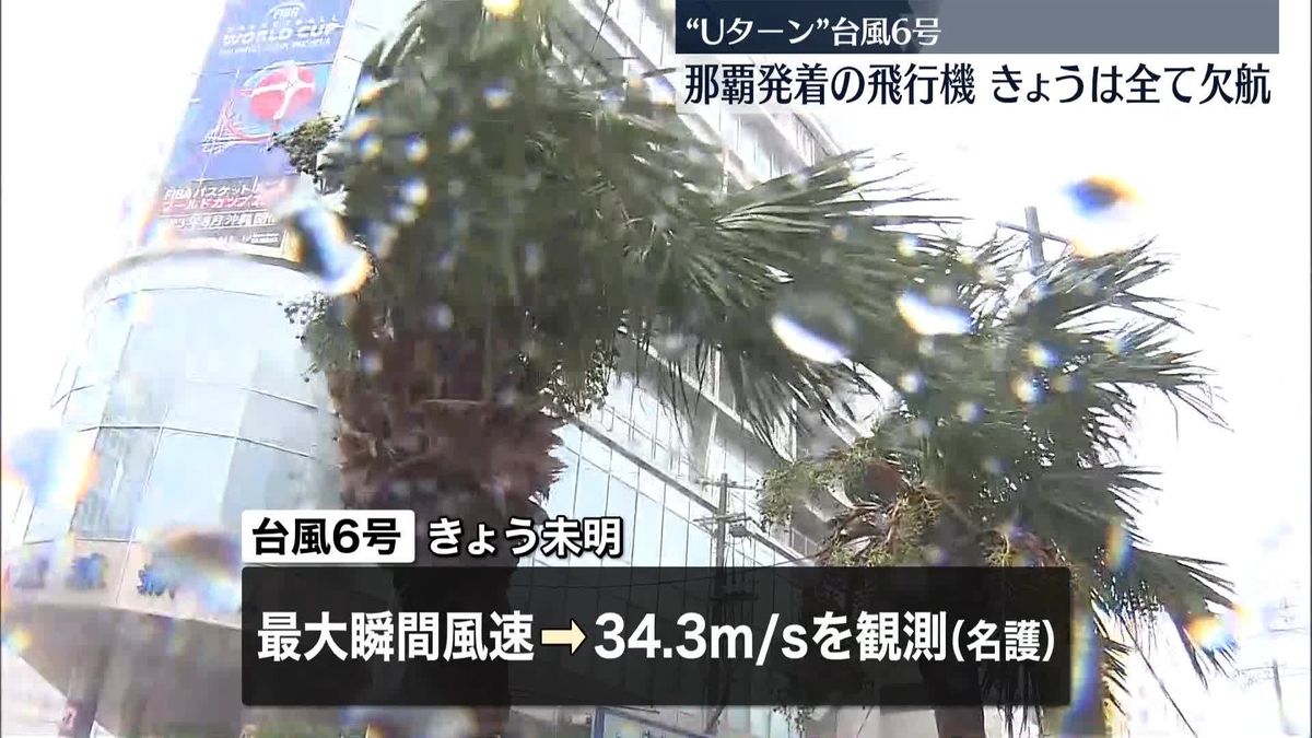 台風6号、沖縄・奄美を暴風域に　名護、最大瞬間風速34.3メートル　3万4000戸近く停電、59人ケガ