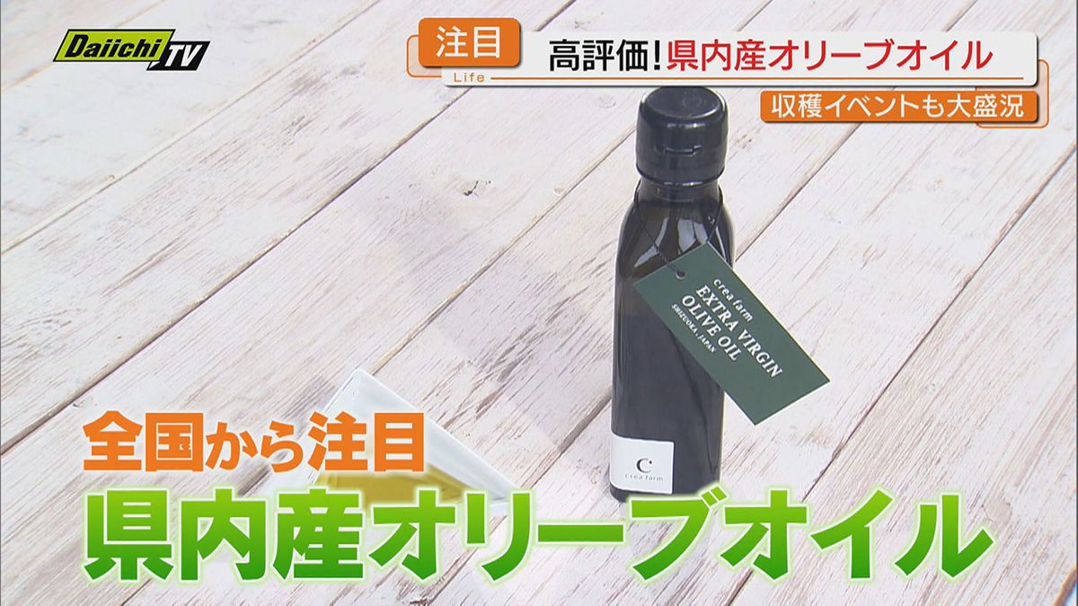 【注目】生産量全国２位で世界的にも高評価！急速に広がる静岡のオリーブ栽培…その秘密にフォーカス