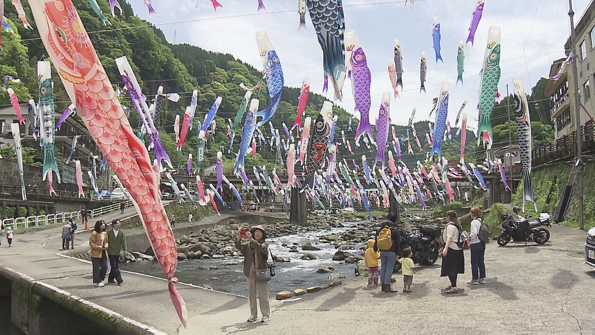 優雅に泳ぐ3000匹以上のこいのぼり　杖立温泉で恒例「鯉のぼり祭り」