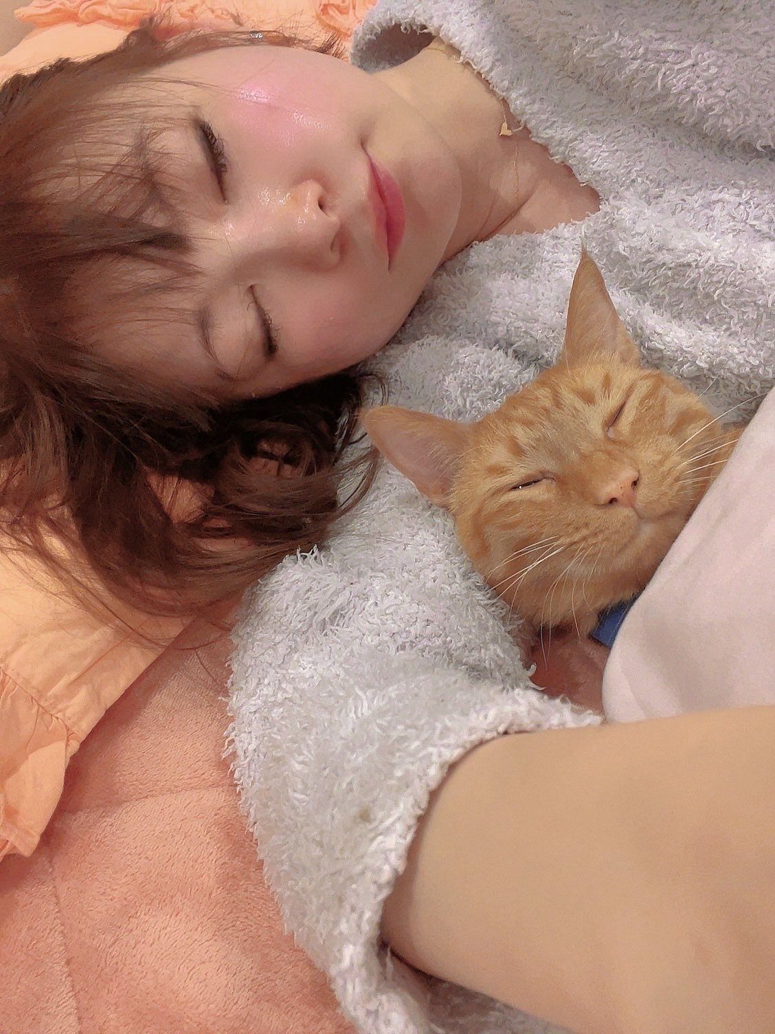 中川翔子「毎日泣いています」　溺愛していた愛猫・メポが天国へ旅立ったことを報告