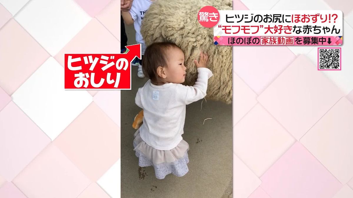 【驚き！】モフモフ大好きな赤ちゃん！そんなところにまで…