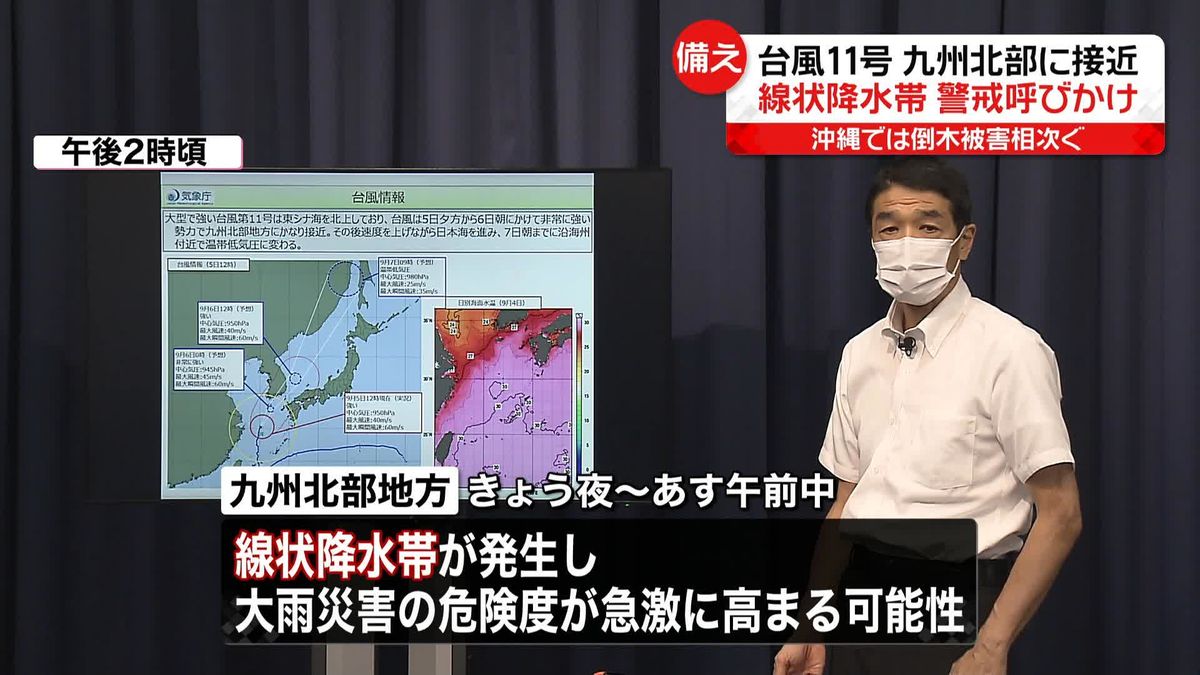 「台風11号」沖縄では倒木被害相次ぐ　九州北部に「線状降水帯」発生の可能性も…警戒呼びかけ