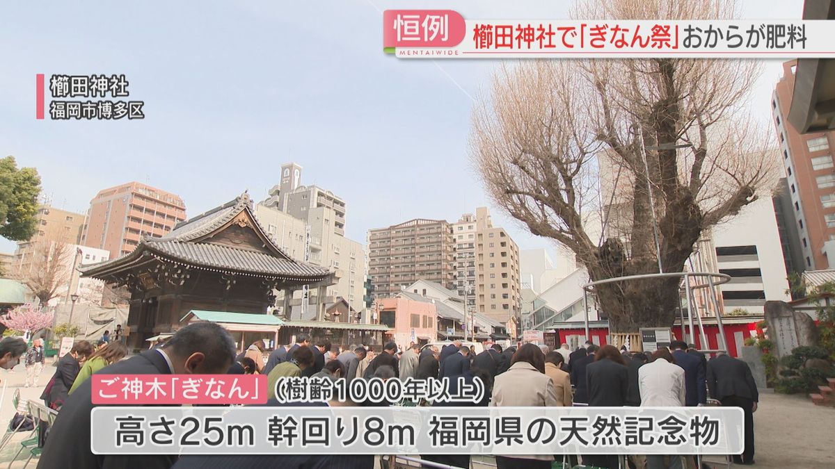 櫛田神社で「ぎなん祭」樹齢1000年超のご神木におから　長寿と博多のまちの繁栄願う　福岡