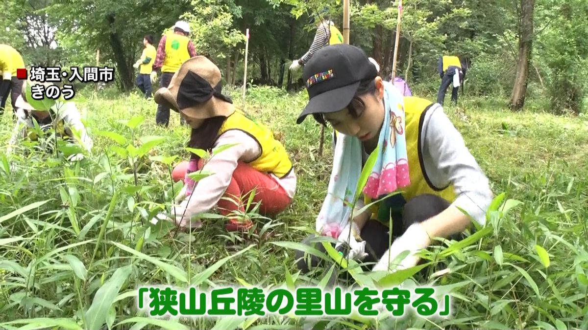 ２４時間テレビの環境保護活動　埼玉