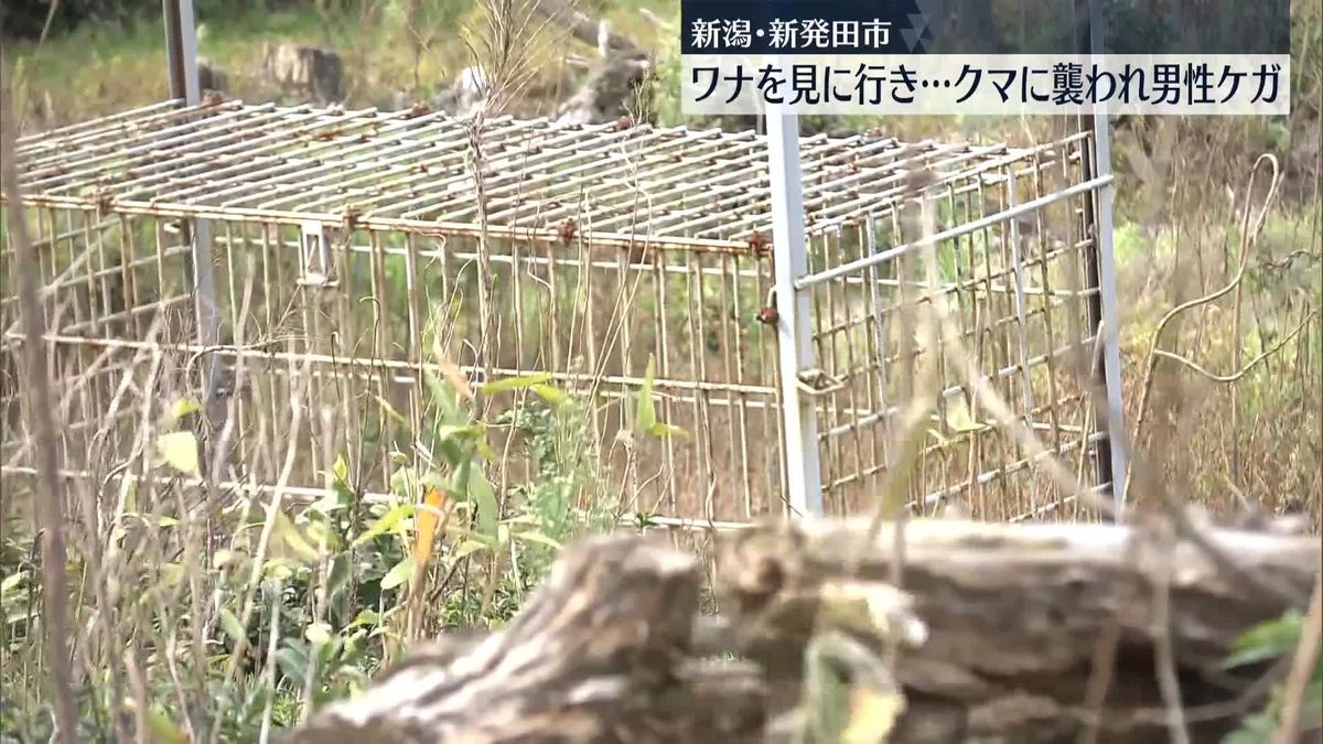 「罠を見に行き…」男性がクマに襲われケガ　新潟・新発田市