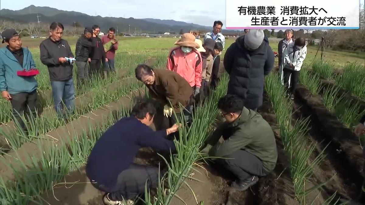 「えぐみがない」有機野菜の収穫を消費者が体験「値段もお高めだけど安心して食べられる」