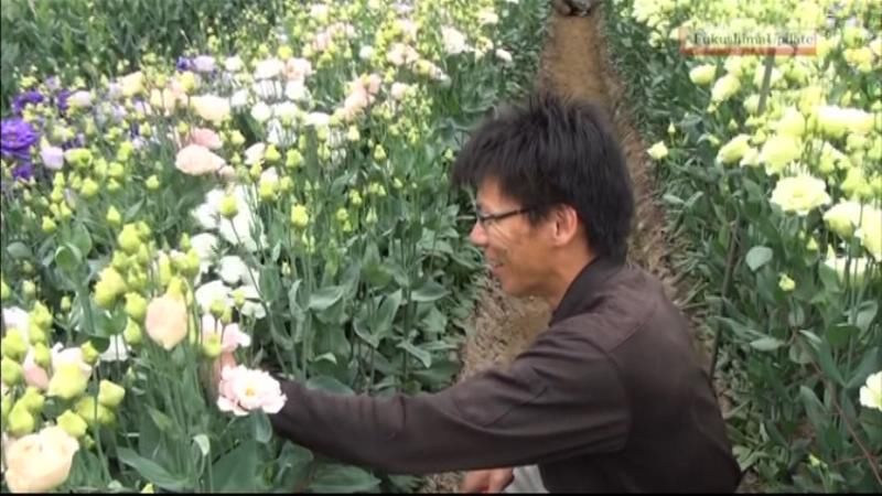 花栽培で再起めざす福島の農家