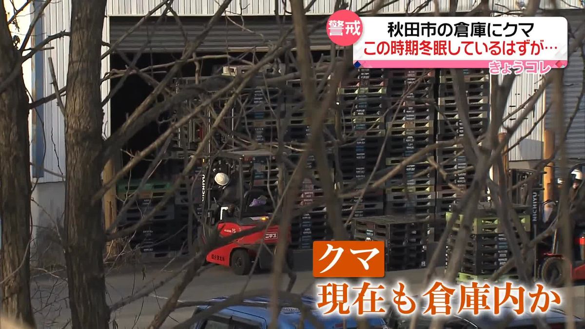 秋田市でクマ目撃、いまも倉庫内に？　この時期は冬眠しているはずが…