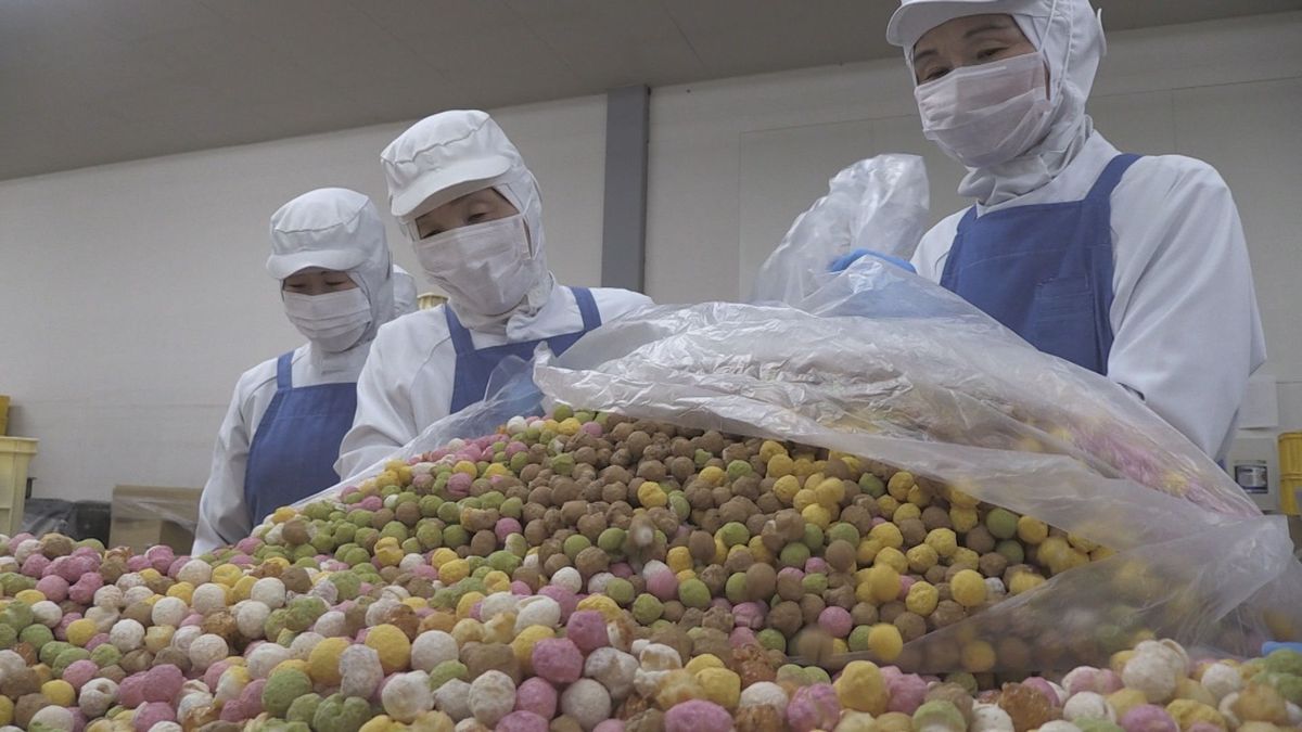 今年はサクサク度アップ！　ひなあられ作りが大詰め　桃の節句を前に　大野市の和菓子店