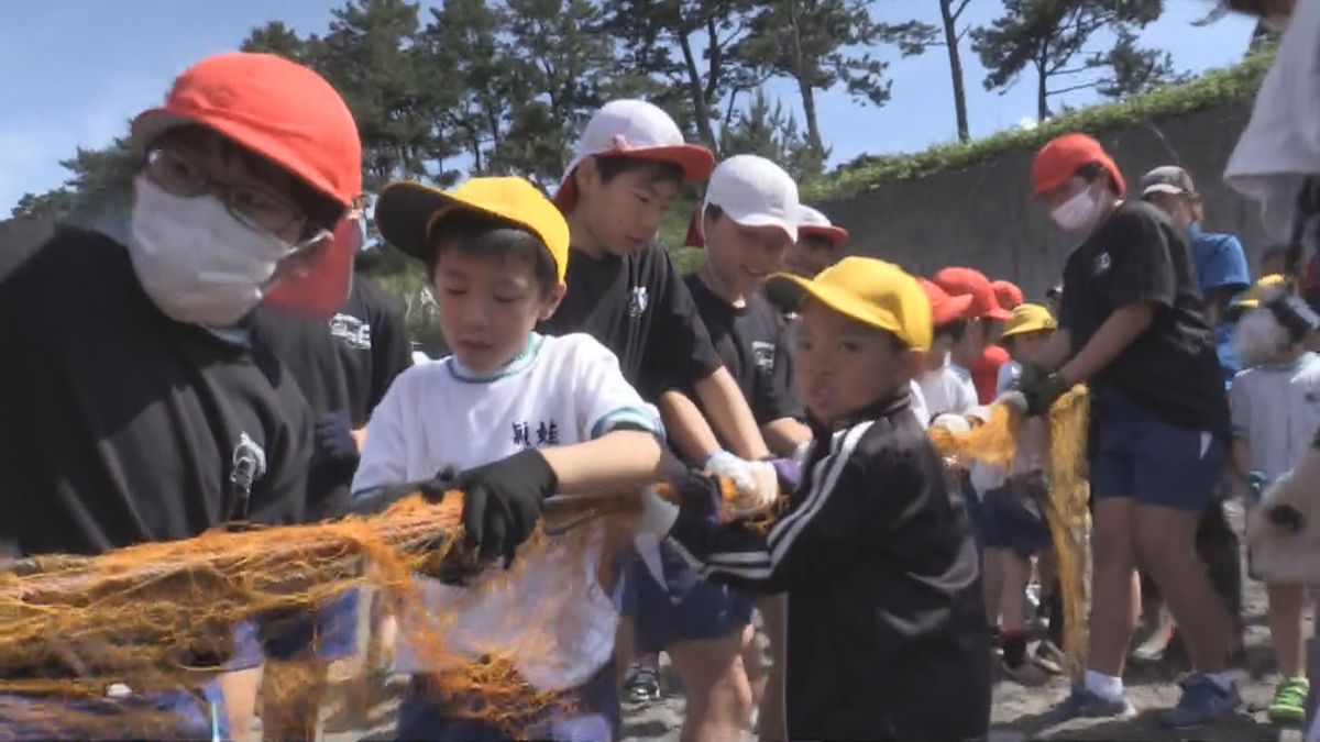 南九州市の海岸で子どもたちが地引き網を体験