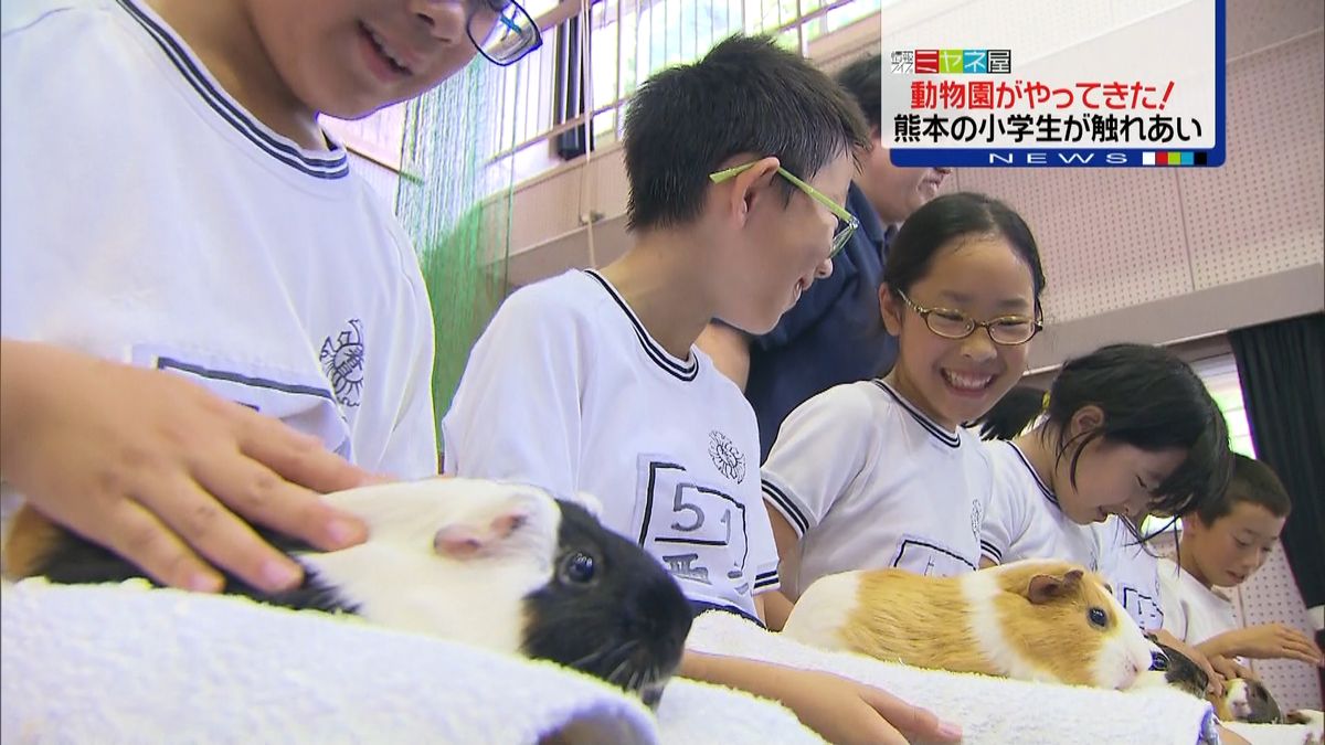 熊本地震　被災地の小学校に移動動物園
