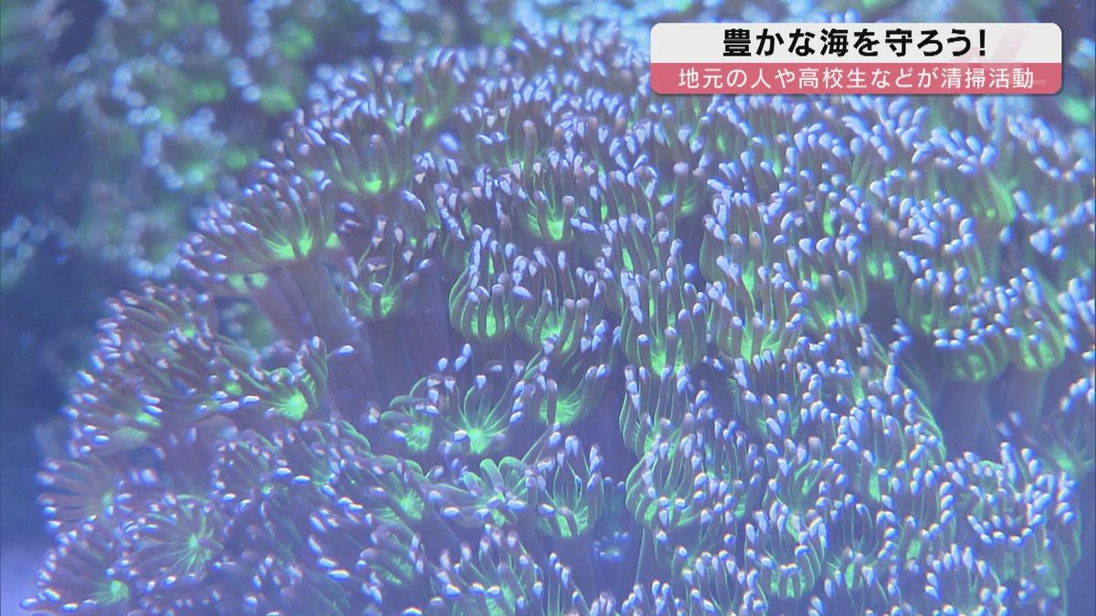 豊かな海の環境を守ろう！周防大島で地域清掃