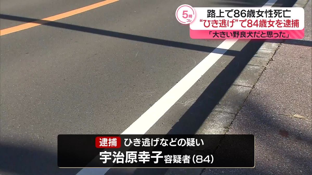 86歳女性死亡　“ひき逃げ”で84歳女を逮捕 ｢大きい野良犬だと思った｣  千葉・南房総市