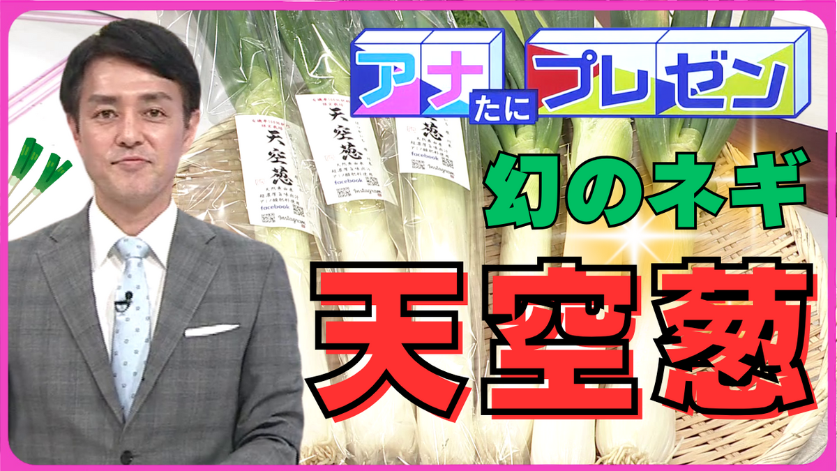 見た目も味もインパクト抜群の「天空葱」　市場に出回らない幻のネギが農地再生のカギ！？【アナたにプレゼン・テレビ派】