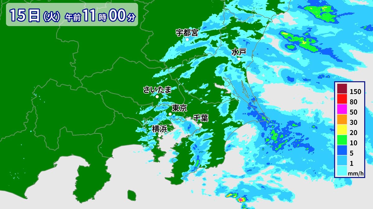 関東は冷たい雨で12月並みの寒さに…朝から日中にかけても気温はほとんど上がらず
