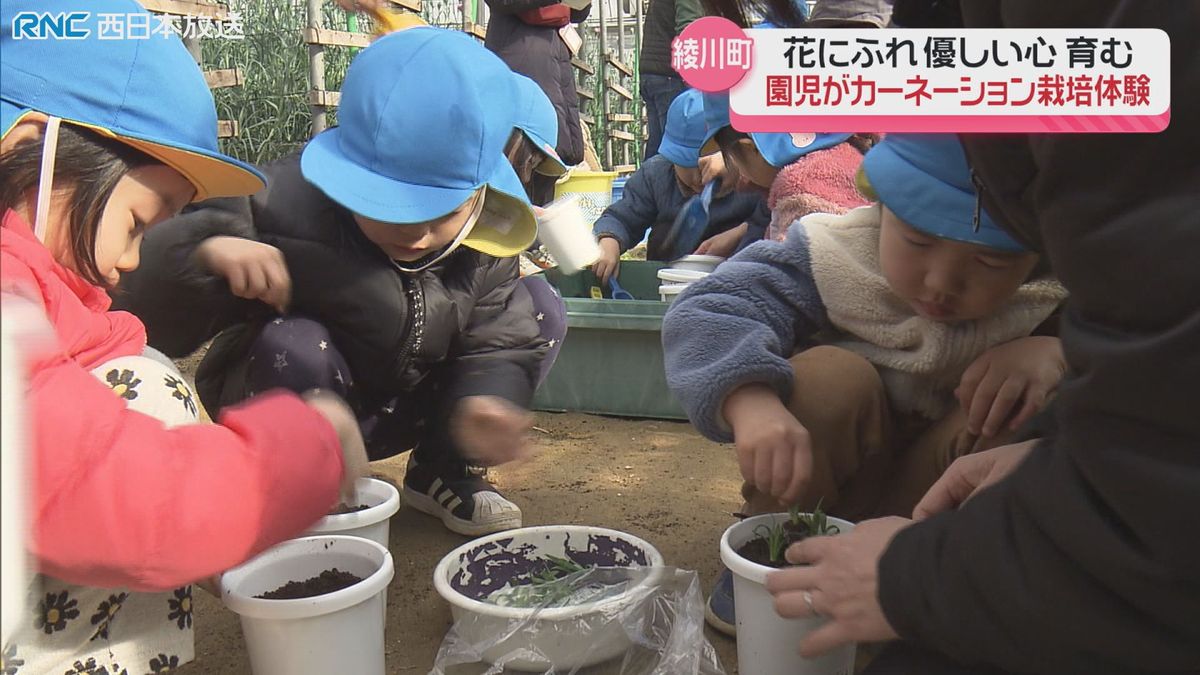 「ママにあげる」園児がカーネーション栽培を体験  香川県綾川町