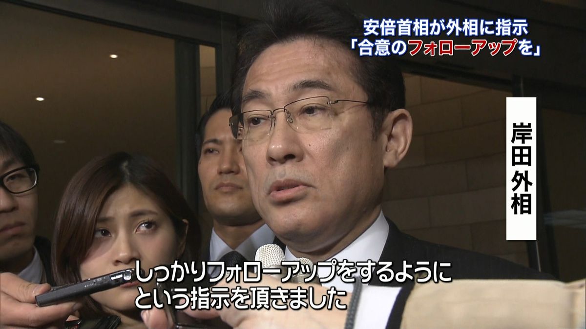 “慰安婦問題”合意　首相　着実な実行指示