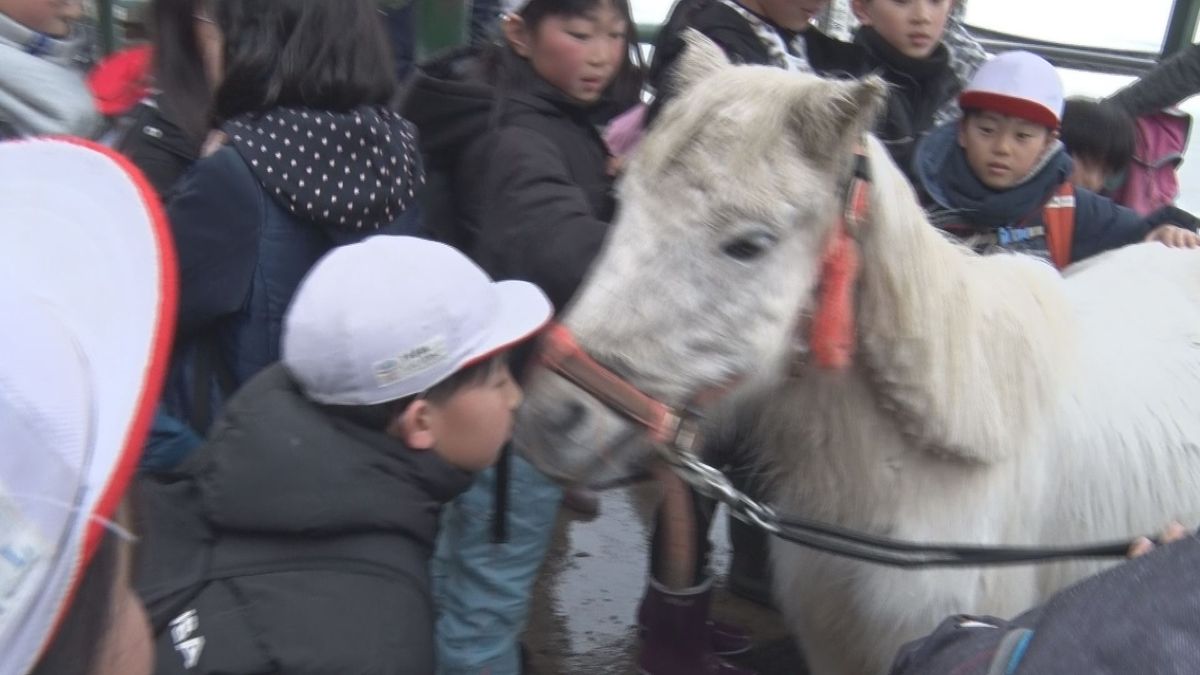 【特集】別れの春①「みんなでお散歩楽しかったね」ポニーのクリスター小学校を離れ牧場へ… 子どもたちと別れの時が…