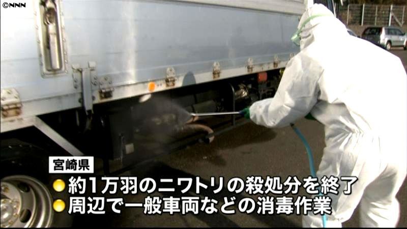 鳥インフル確認、鶏１万羽を殺処分　宮崎市