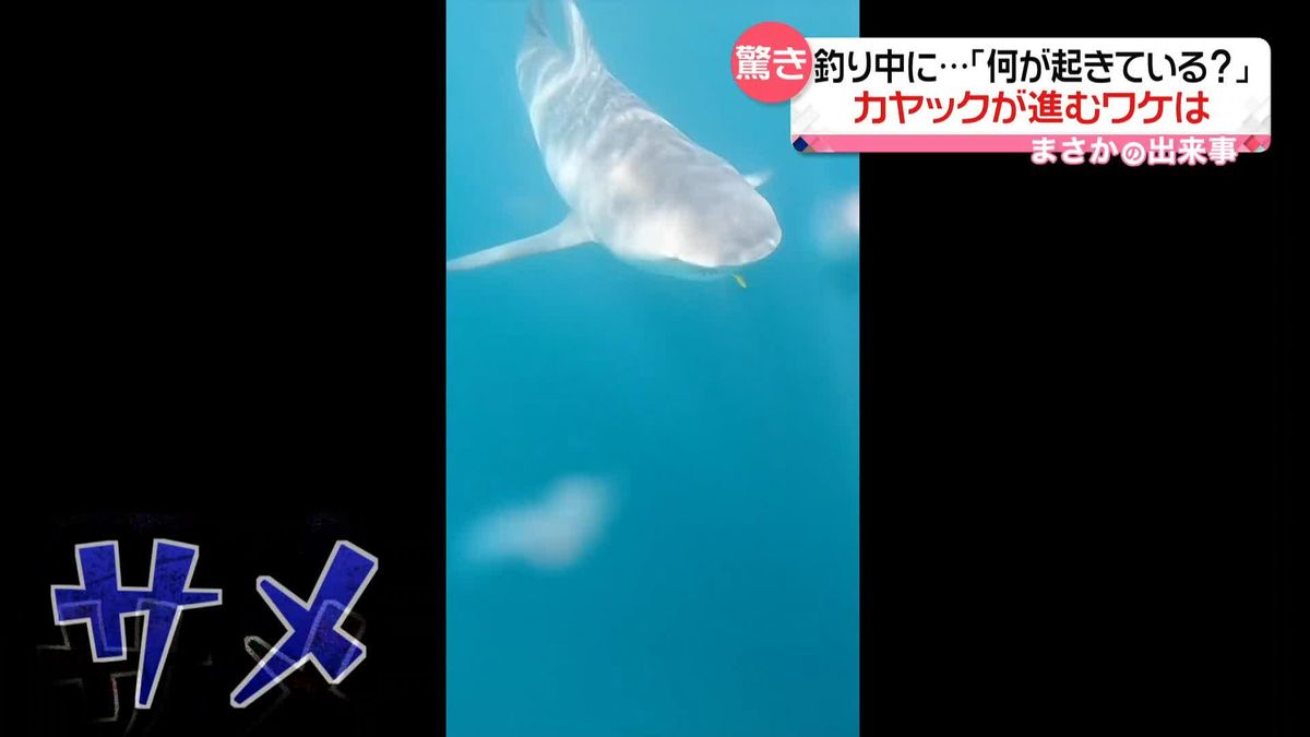 「何が起きてるんだ？」こいでもいないのに進むカヤック　下にいたのは…　パナマ