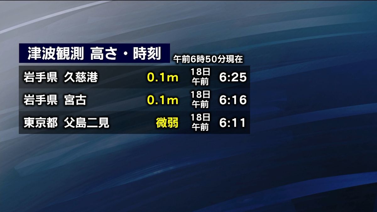 岩手、小笠原で津波第一波を観測