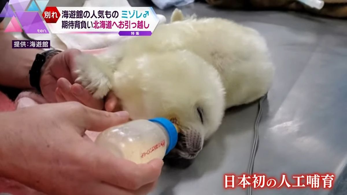 生まれてすぐ危険な状態に