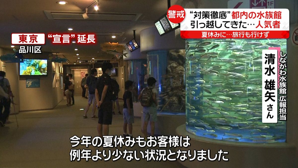 感染対策徹底の都内水族館…客“６割”減も