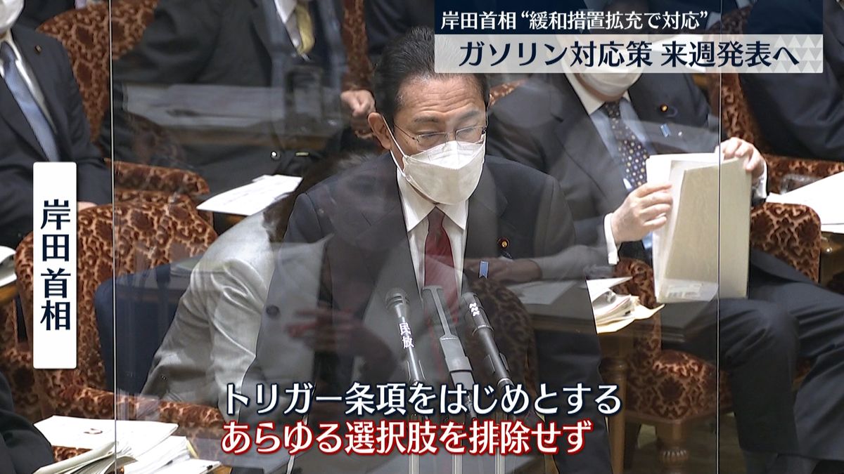 岸田首相、ロシアへの追加制裁措置発表 ガソリンなどの値上がりにも対応する考え強調