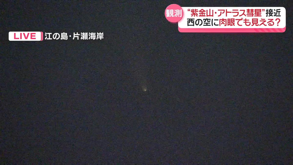 「紫金山・アトラス彗星」接近　西の低い空に肉眼でも見える？