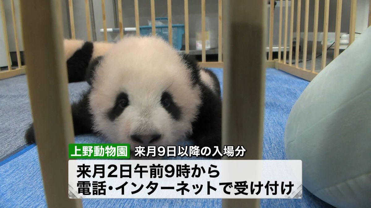 上野動物園　来月９日から入場者数“３倍”
