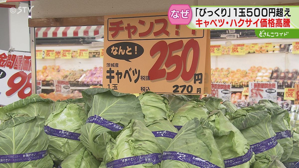 マチ中華も苦悩…白菜・キャベツが高い！スーパーでも嘆息あちこち　平年並みに戻るのはいつ？