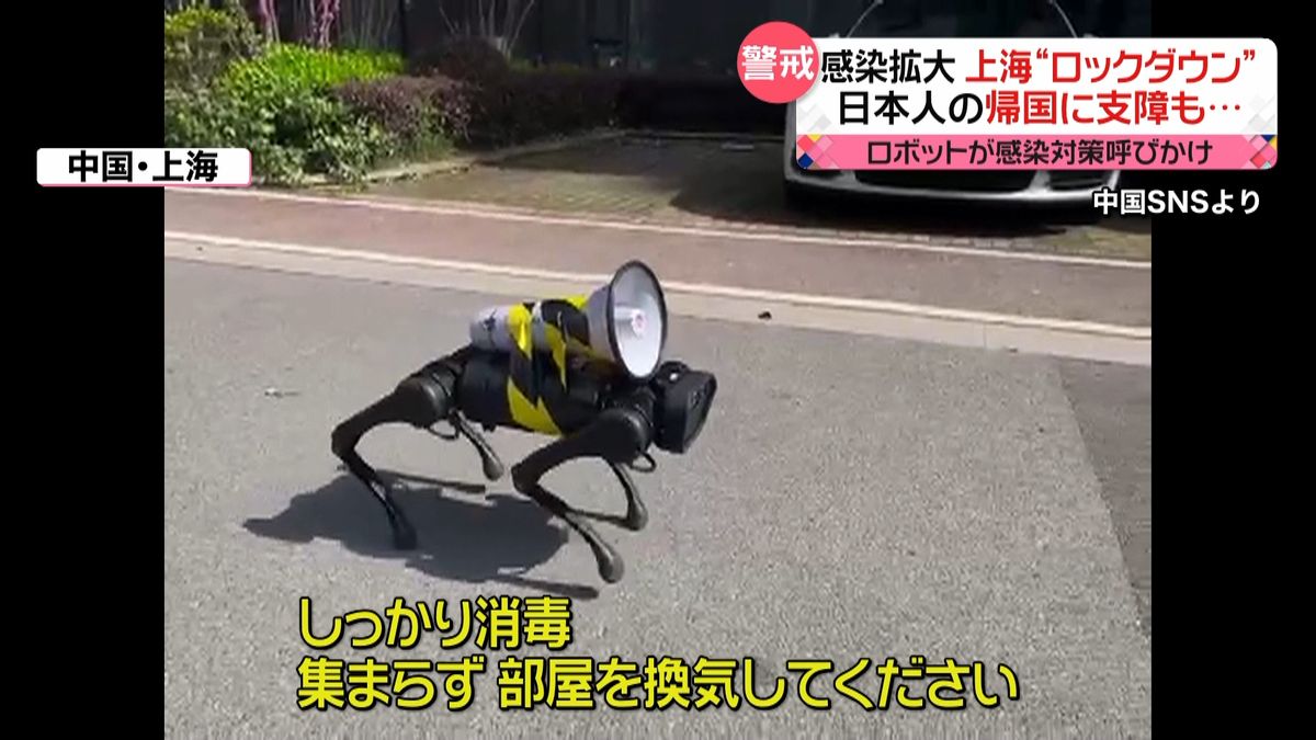 感染拡大…上海“ロックダウン”　日本人の帰国に支障も　犬型ロボットが感染対策呼びかけ