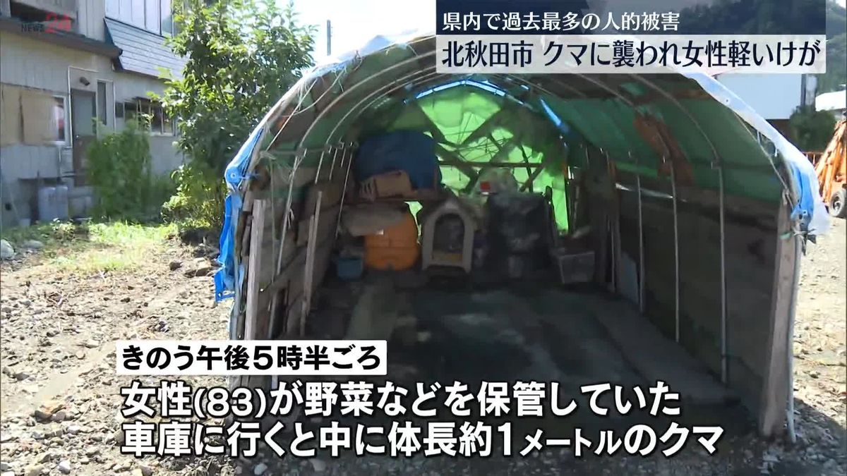 車庫からクマ、女性襲われケガ　秋田で相次ぐ人的被害…今年21人で過去最多