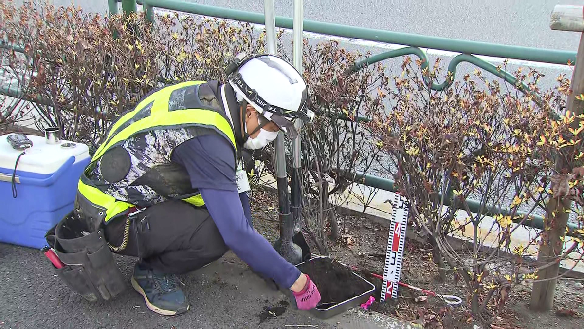 ビッグモーター店舗前の街路樹枯れ、都が土壌調査を開始　分析結果、今月中旬以降に公表へ