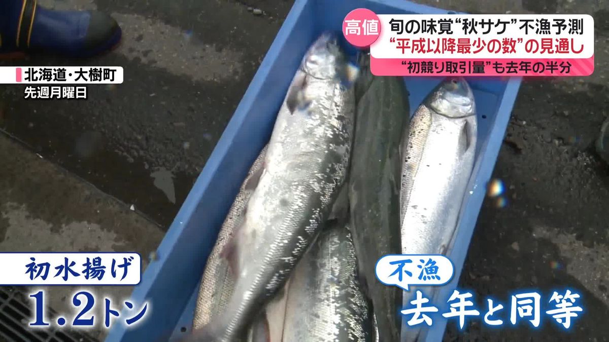 旬の味覚“秋サケ”不漁予測　スーパーの仕入れ値、去年の1.5倍も…